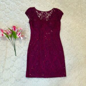 Hailey Adrianna Papell Fucshia Lace Overlay & Sequin Dress